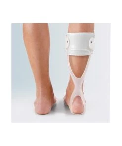 FGP - CVO 400 - Molla Di Codivilla Swedisch A.F.O.