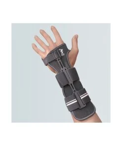 FGP - PHYLO 12 - Polsiera Steccata