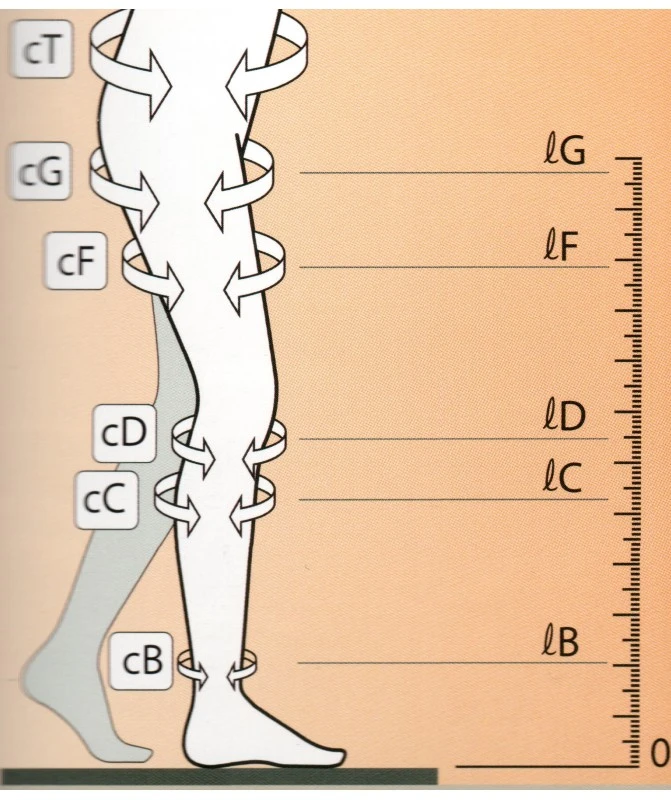 Ro+Ten - Linea TH - Calze Per Profilassi Anti-tromboembolia 18-23 MmHg, Punta Aperta - Gambaletto AD (paio) 1 Ro+Ten - Linea TH - Calze Per Profilassi Anti-tromboembolia 18-23 MmHg, Punta Aperta - Gambaletto AD (paio)